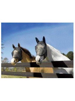 Promo Masque anti Mouche Flymask Anti UV Avec Oreilles Absorbine Ultrashield