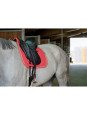 Tapis De Selle Poney Equithème Softy