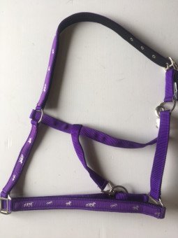 Licol Déco Trait Violet