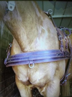 Promo Bricole XL Trait Brun Pour Harnais En Simple