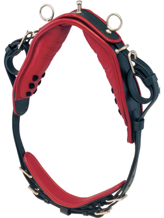 Harnais Phaeton Mini Shet Poney En Simple