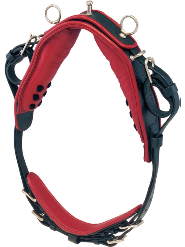 Harnais Phaeton Mini Shet Poney En Simple