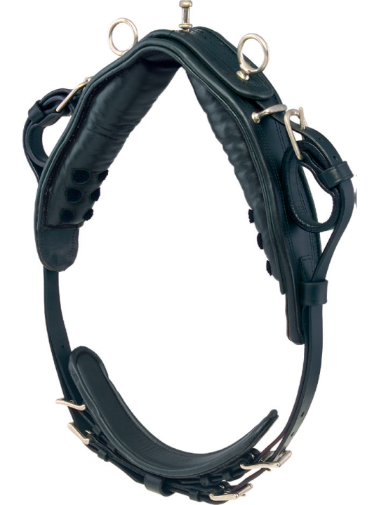 Harnais Phaeton Mini Shet Poney En Simple