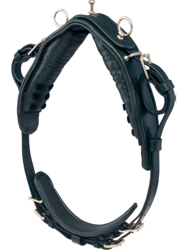 Harnais Phaeton Mini Shet Poney En Simple