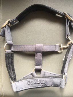 Promo Licol Shetland  Suédine Double Réglage