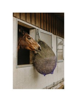 Filet A Foin Fin Hippotonic Mailles Serrées 3 cm