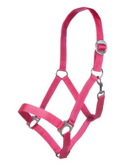 Licol Nylon Economy Cheval De Trait Rose