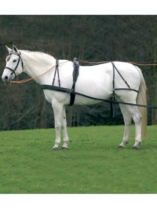 Harnais Economic En Simple Cob Cheval Trait