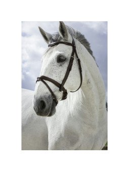 Bridon Norton Pro Combinée