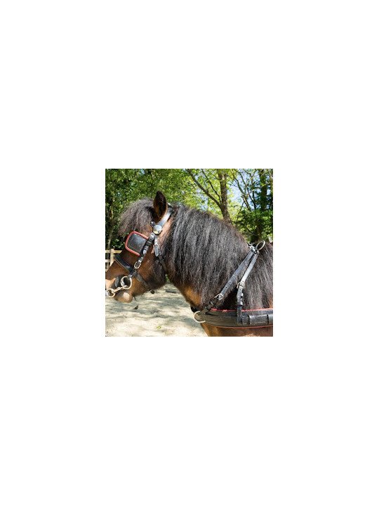 Harnais Cuir Mini Horse