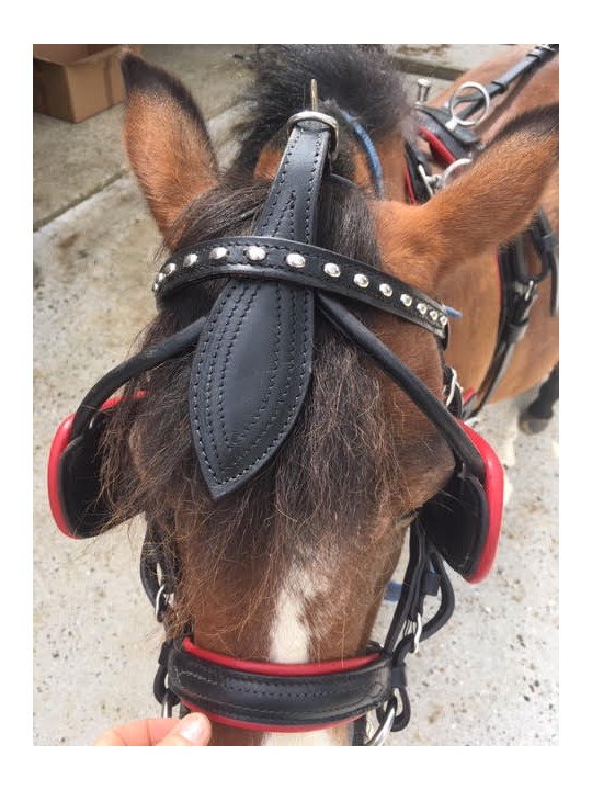 Harnais Cuir Mini Horse