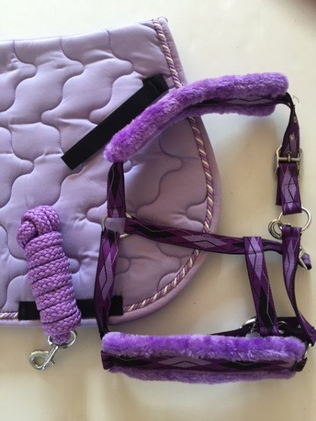 Ensemble Tapis Licol Longe Lilas Poney