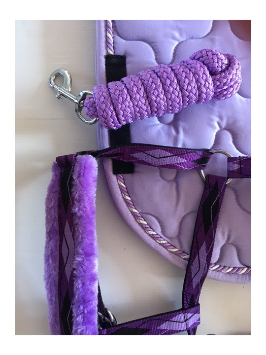 Ensemble Tapis Licol Longe Lilas Poney