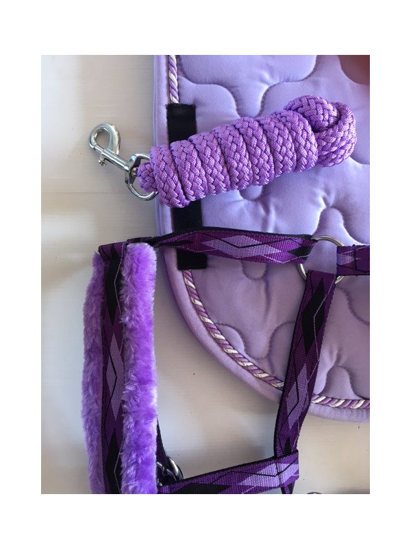 Ensemble Tapis Licol Longe Lilas Poney