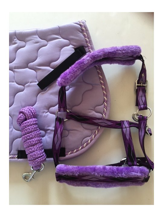 Ensemble Tapis Licol Longe Lilas Poney