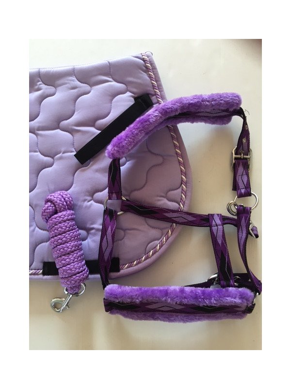 Ensemble Tapis Licol Longe Lilas Poney