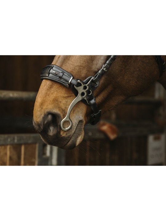 Promo Bridon Norton Pro Hackamore Cheval