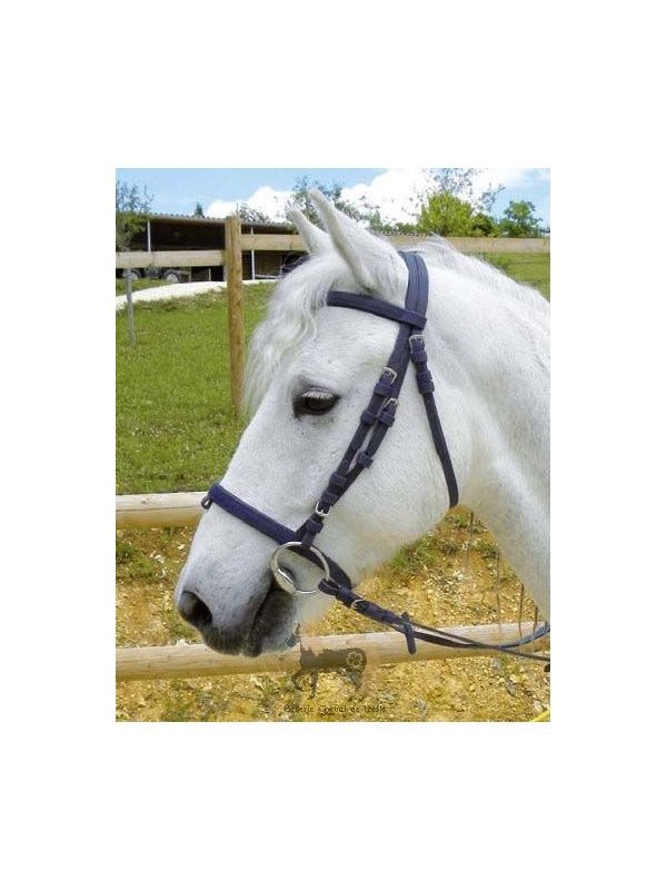 Promo Bridon Synthétique Poney Brun