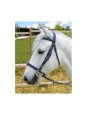 Promo Bridon Synthétique Poney Brun