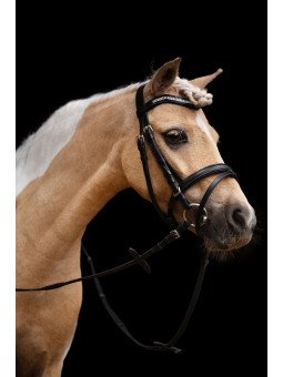 Bridon Little Star Shetland HKM