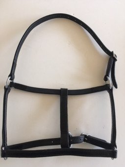 Licol Cuir Mini Horse Foal Shet Réglable