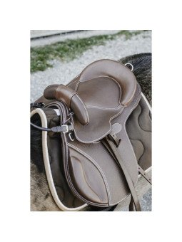 Promo Selle Bardette Guy Cantin Evolution Educative 14.5 Brun