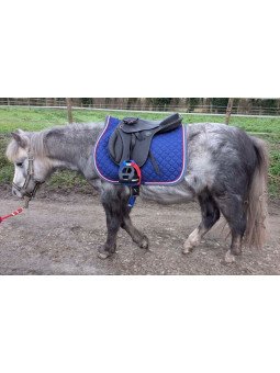 Promo Selle Bardette Guy Cantin Evolution Educative 16.5 Noir (copie)