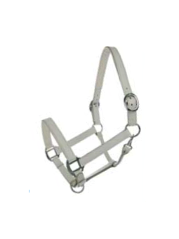 Promo Licol Cuir Blanc Double Réglage Cheval