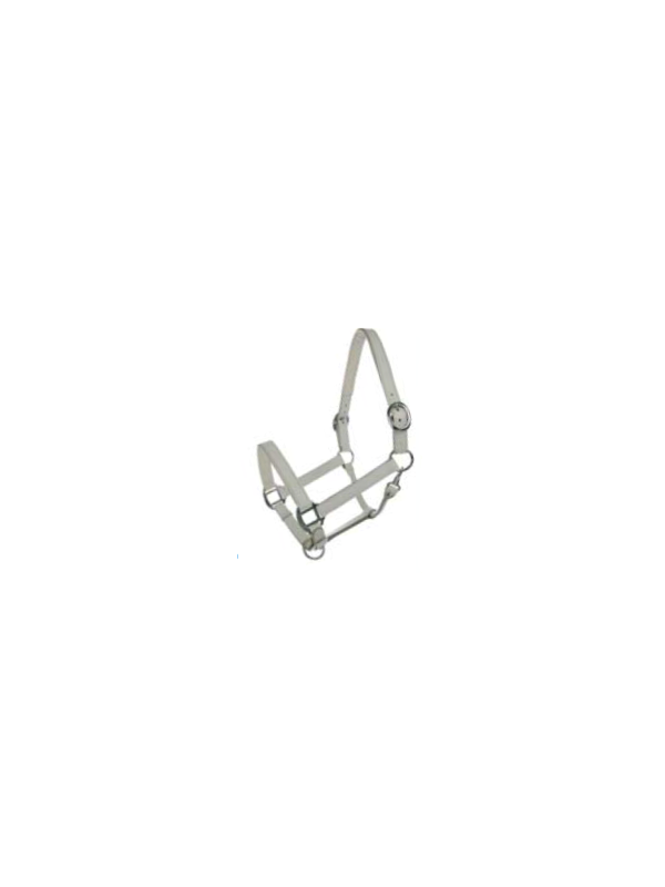 Promo Licol Cuir Blanc Double Réglage Cheval