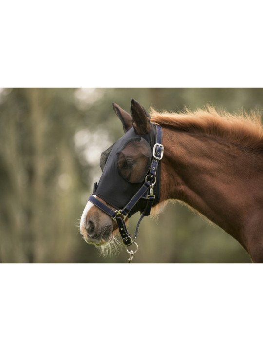 Masque anti-Mouches Lami-Cell Trait