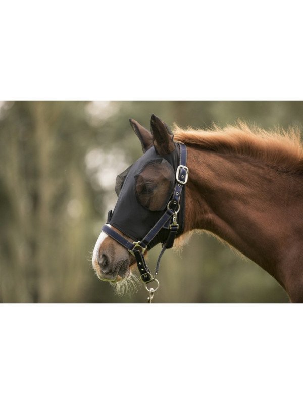 Masque anti-Mouches Lami-Cell Trait