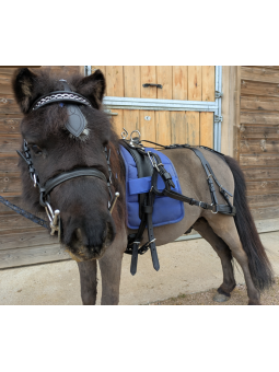 Harnais Cuir Mini Horse XXS