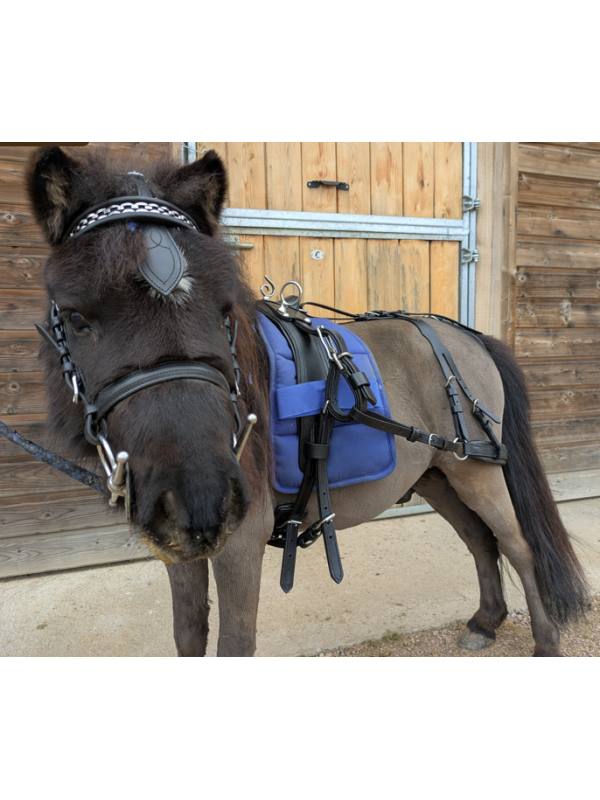 Harnais Cuir Mini Horse XXS