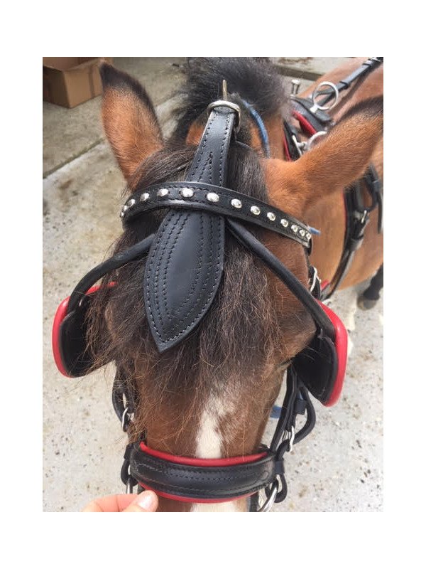 Harnais Cuir Mini Horse XXS