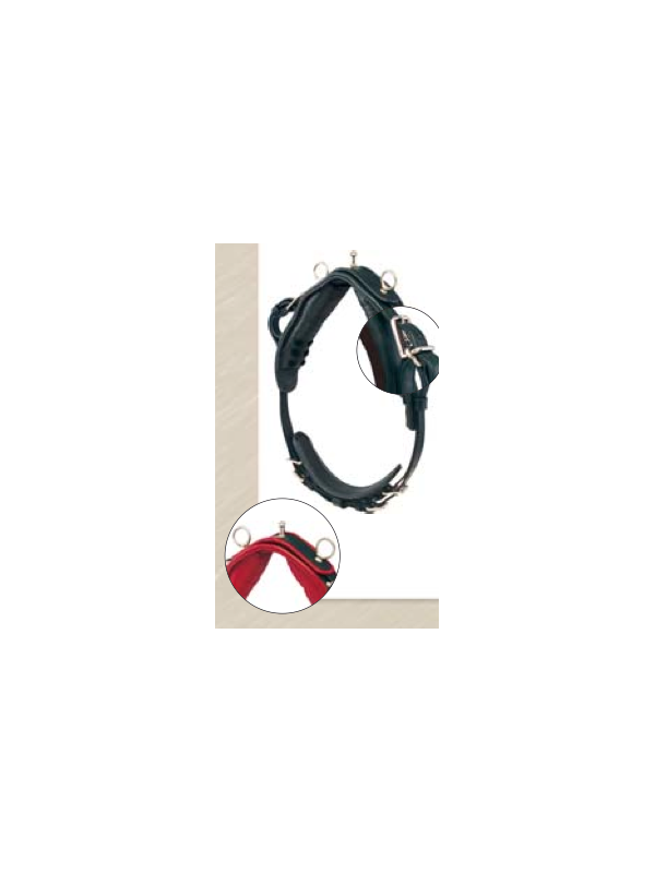 Harnais Cuir Mini Horse XXS