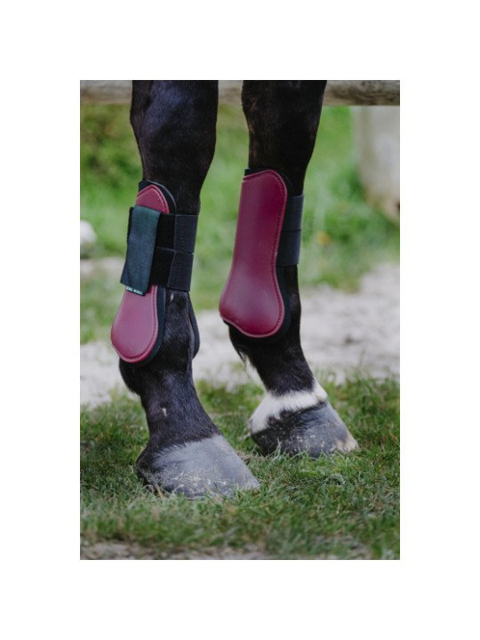 Guêtres Riding World Shetland Poney Cheval