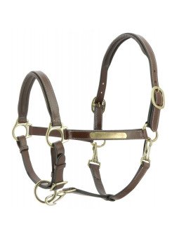 Promo Licol Cuir Grooming Eric Thomas Pro Pur Sang