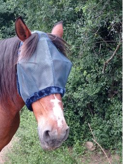 Masque Anti Mouches Sans Oreilles Fleece Zilco XL