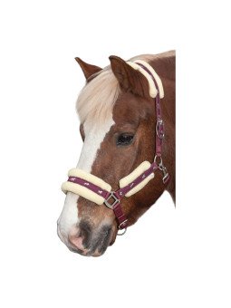 Licol Trait Doublé Mouton Little Horses