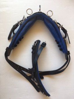 Harnais Cuir Nylon Noir Bleu Mini Shet Poney