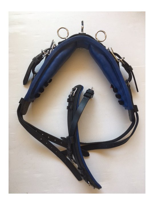 Harnais Cuir Nylon Noir Bleu Mini Shet Poney