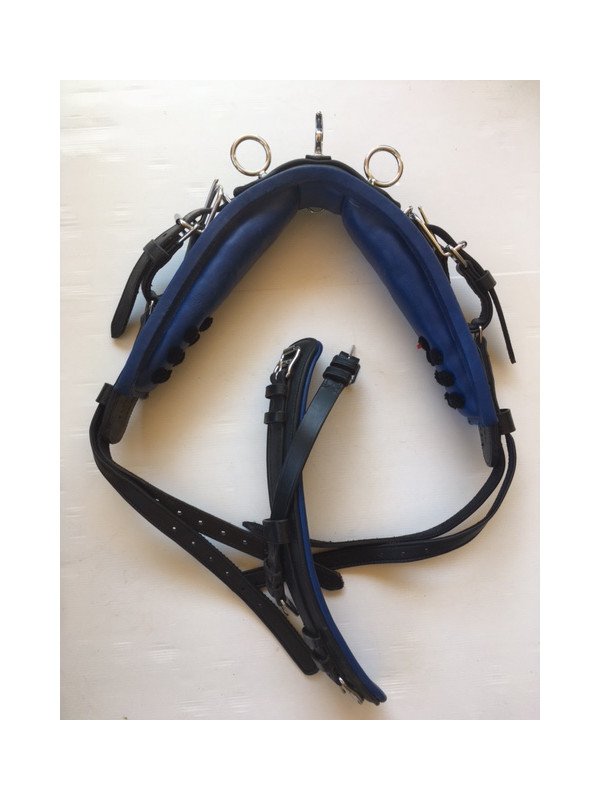 Harnais Cuir Nylon Noir Bleu Mini Shet Poney