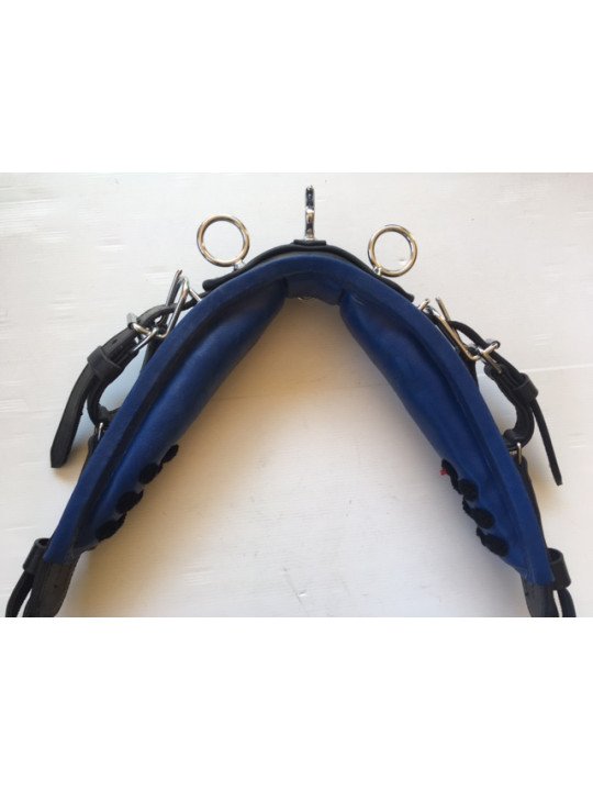 Harnais Cuir Nylon Noir Bleu Mini Shet Poney
