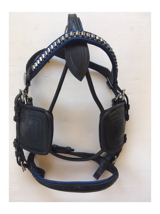 Harnais Cuir Nylon Noir Bleu Mini Shet Poney