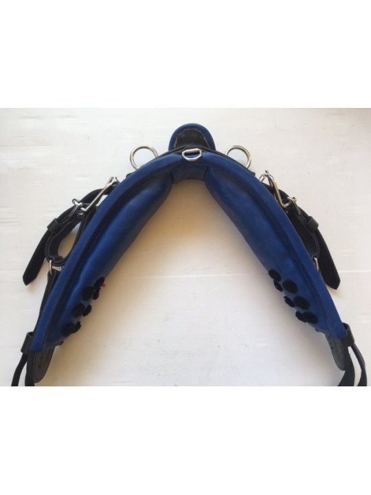 Harnais Cuir Nylon Noir Bleu Mini Shet Poney