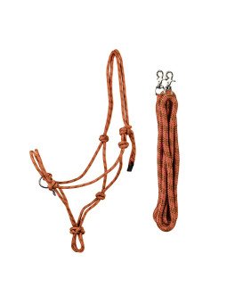 Ensemble Licol Rênes Ethologiques XL Grand Cheval Petit Trait