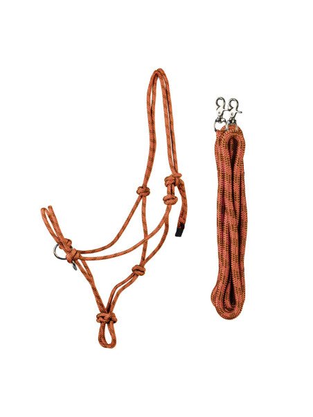 Ensemble Licol Rênes Ethologiques XL Grand Cheval Petit Trait