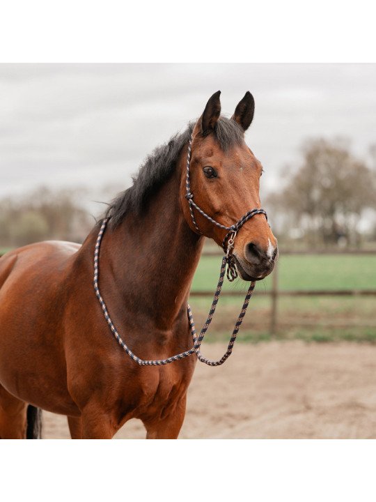 Ensemble Licol Rênes Ethologiques XL Grand Cheval Petit Trait