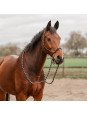 Ensemble Licol Rênes Ethologiques XL Grand Cheval Petit Trait