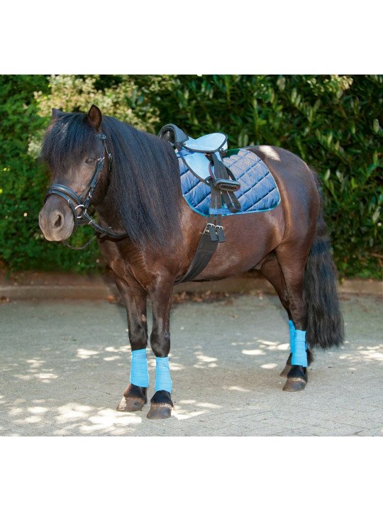 Promo Ensemble Selle Shetland Beginner Toute Equipée